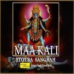 Maa Kali Stotra Sangrah - Pandit Kamal Dixit Song Download